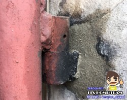 gggg